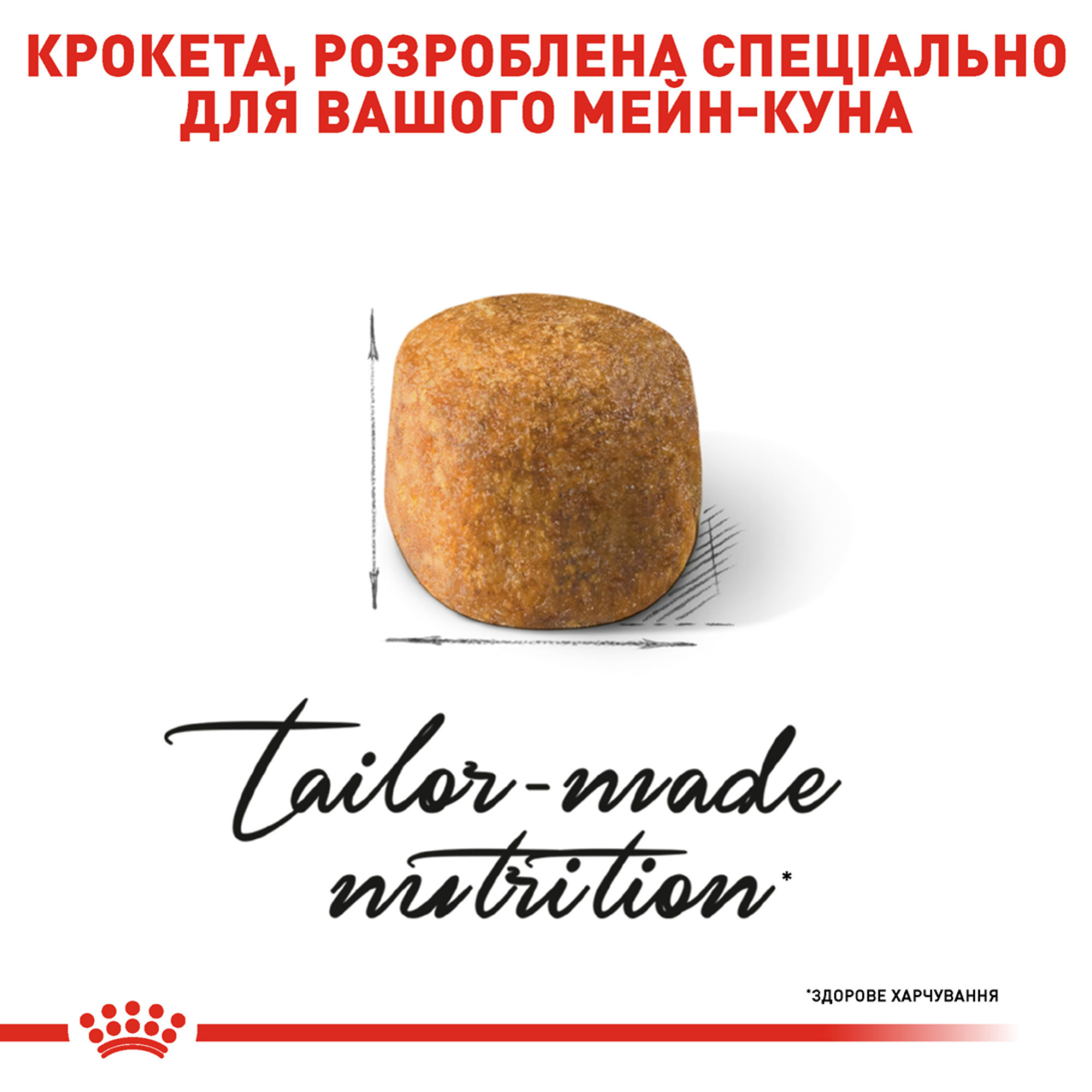 Royal Canin Maine Coon Adult – сухий корм для дорослих котів породи мейн-кун, 4 кг