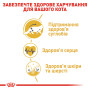 Royal Canin Maine Coon Adult – сухий корм для дорослих котів породи мейн-кун, 4 кг