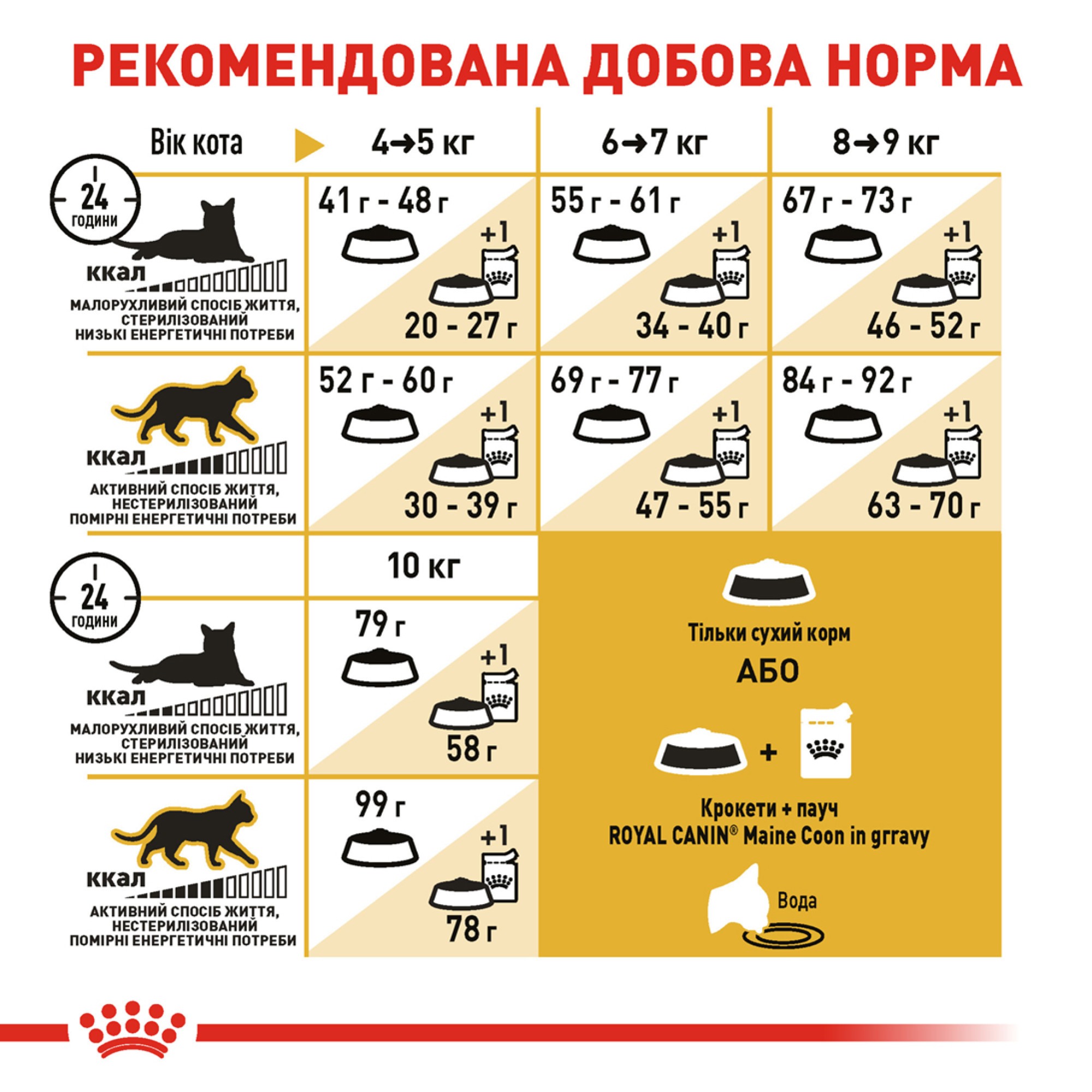 Royal Canin Maine Coon Adult – сухий корм для дорослих котів породи мейн-кун, 4 кг