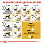 Royal Canin Maine Coon Adult – сухий корм для дорослих котів породи мейн-кун, 4 кг