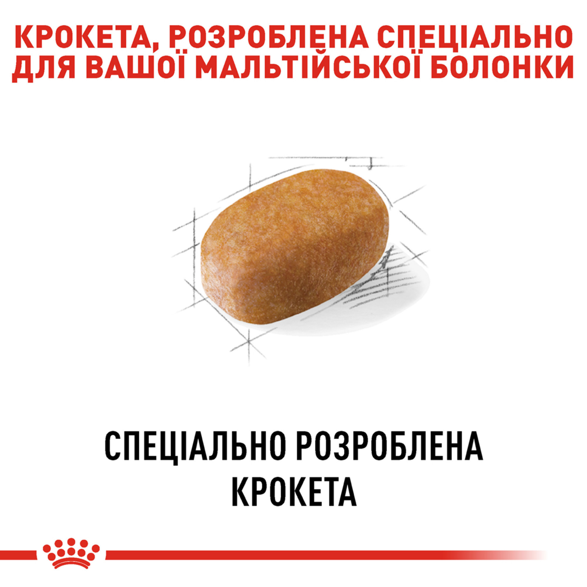 Royal Canin Maltese Adult – сухий корм для дорослих собак породи мальтійська болонка, 1.5 кг