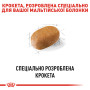 Royal Canin Maltese Adult – сухий корм для дорослих собак породи мальтійська болонка, 1.5 кг