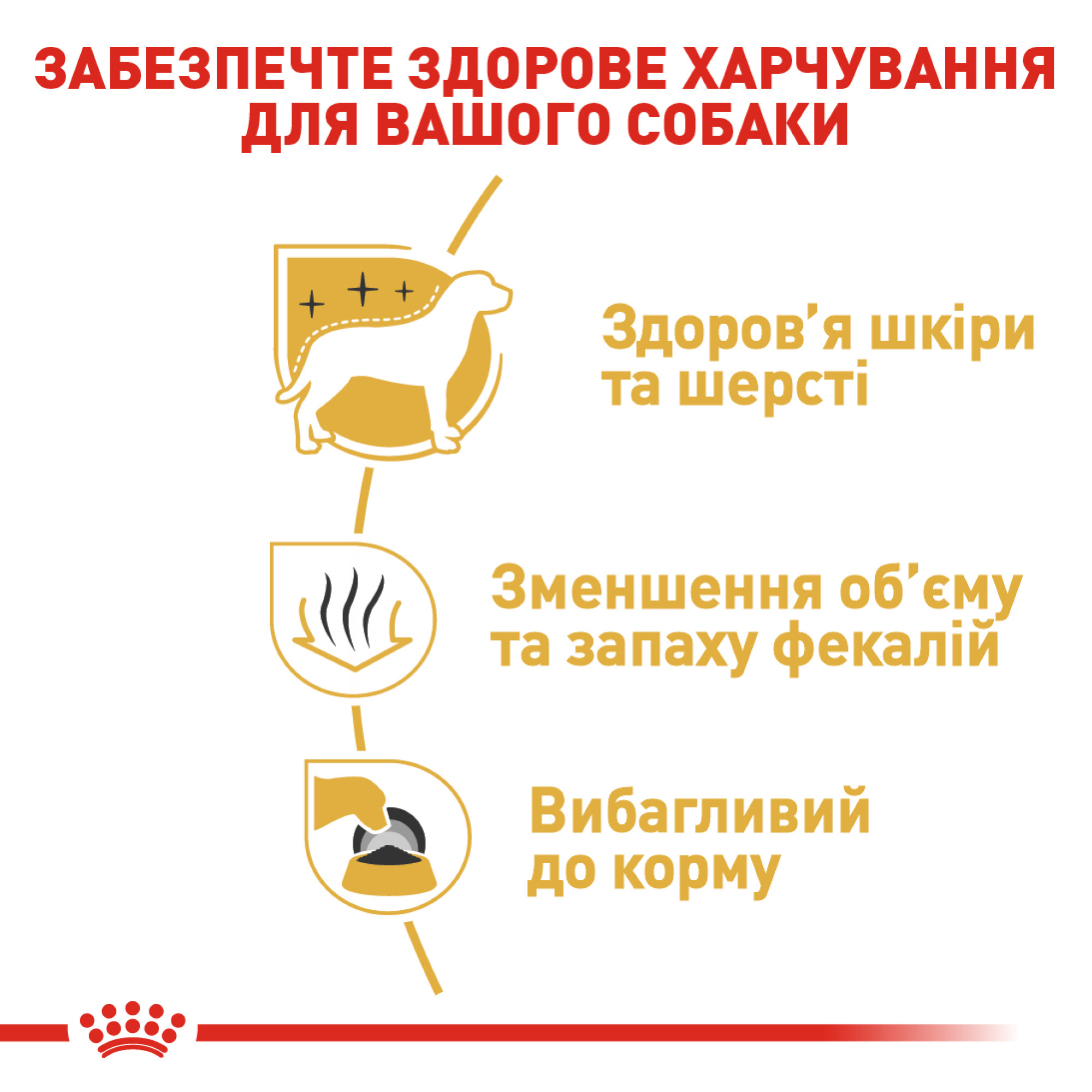 Royal Canin Maltese Adult – сухий корм для дорослих собак породи мальтійська болонка, 1.5 кг