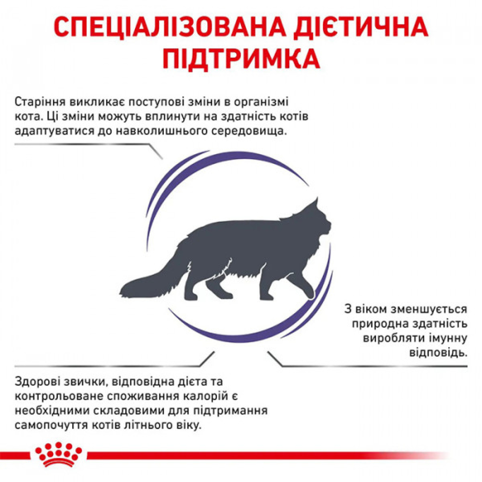 Royal Canin Mature Consult Feline – сухий дієтичний корм для котів віком від 7 років, 3.5 кг