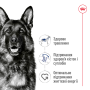 Royal Canin Maxi Adult 5+ для дорослих собак великих порід від 5 років, 15 кг