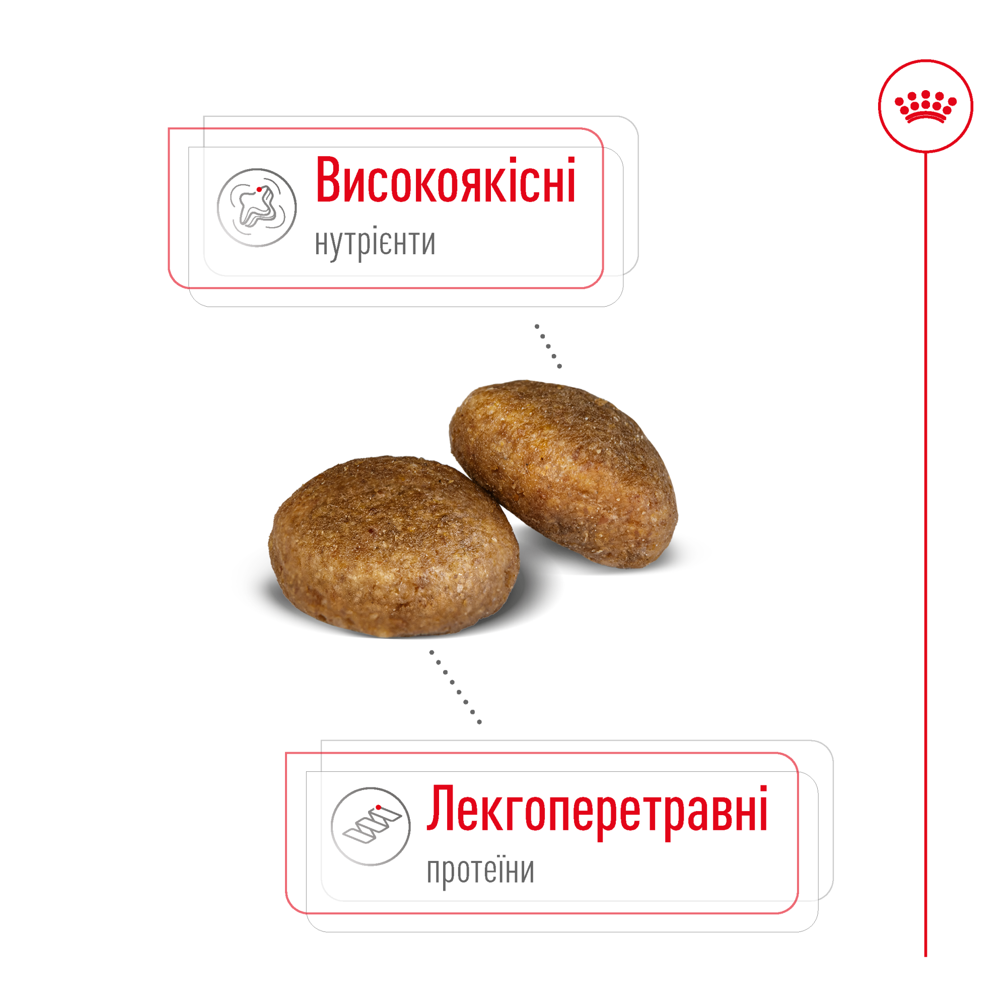 Royal Canin Maxi Adult 5+ для дорослих собак великих порід від 5 років, 15 кг