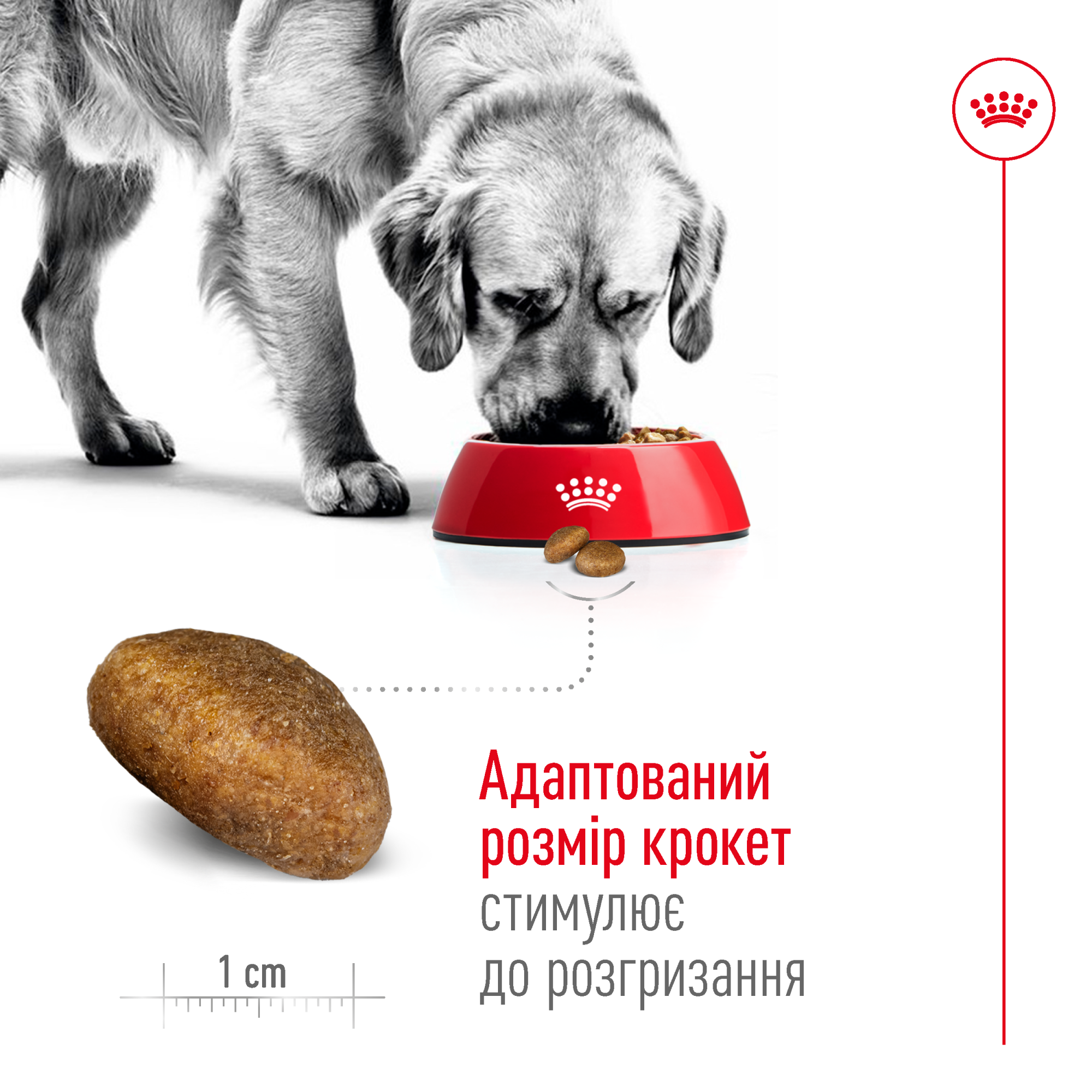 Royal Canin Maxi Adult для дорослих собак великих порід, 15 кг