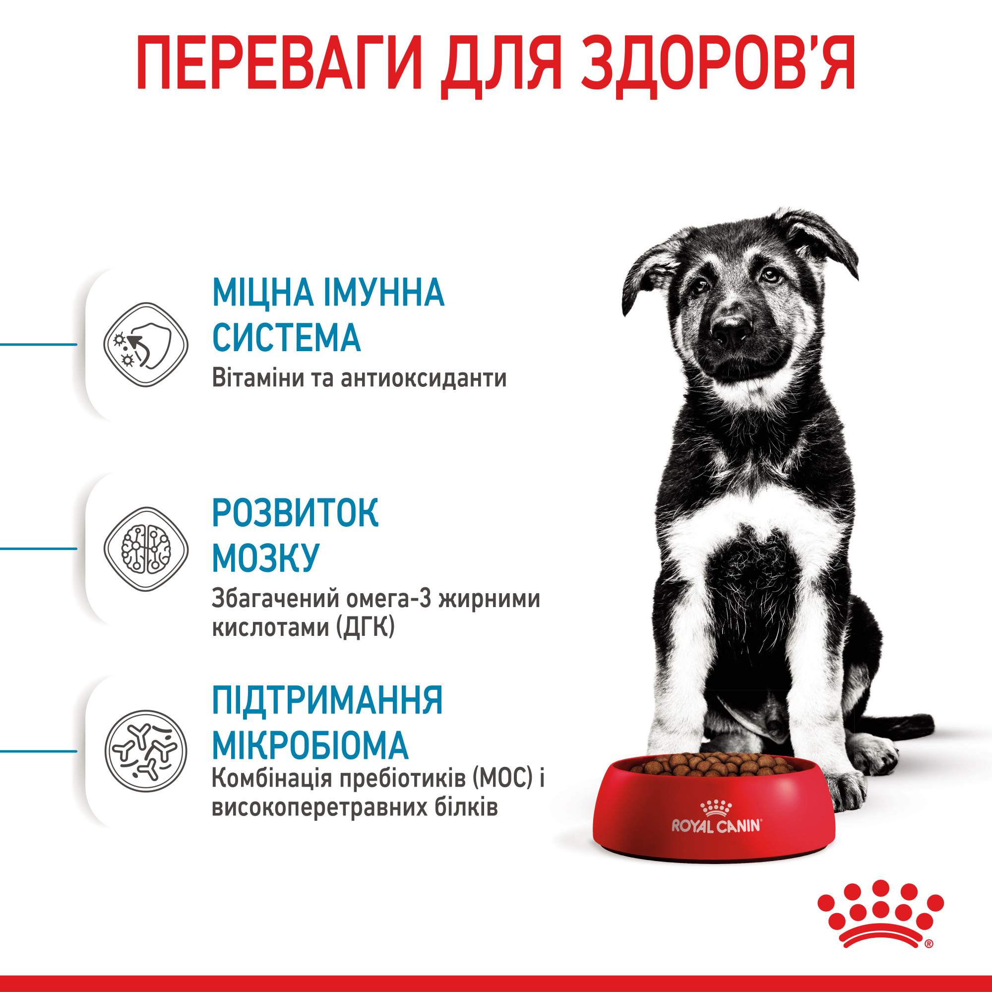 Royal Canin Maxi Puppy для цуценят великих порід від 2 до 15 місяців, 4 кг