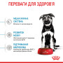 Royal Canin Maxi Puppy для цуценят великих порід від 2 до 15 місяців, 4 кг