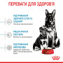 Royal Canin Maxi Starter – сухий корм для великих порід у період вагітності та лактації, а також для цуценят до 2 місяців, 4 кг