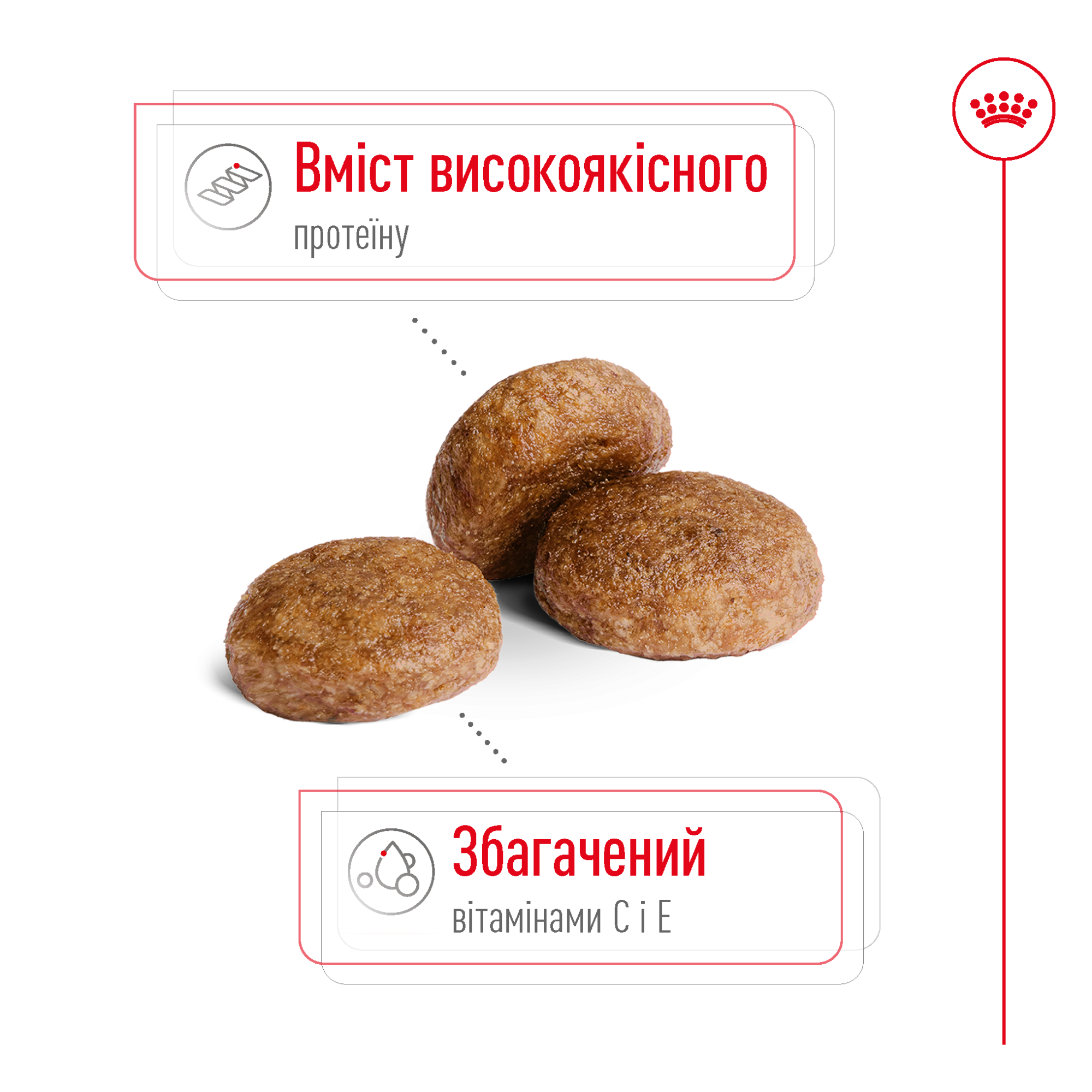 Royal Canin Medium Adult 7+ – сухий корм для дорослих собак середніх порід віком від 7 років, 15 кг