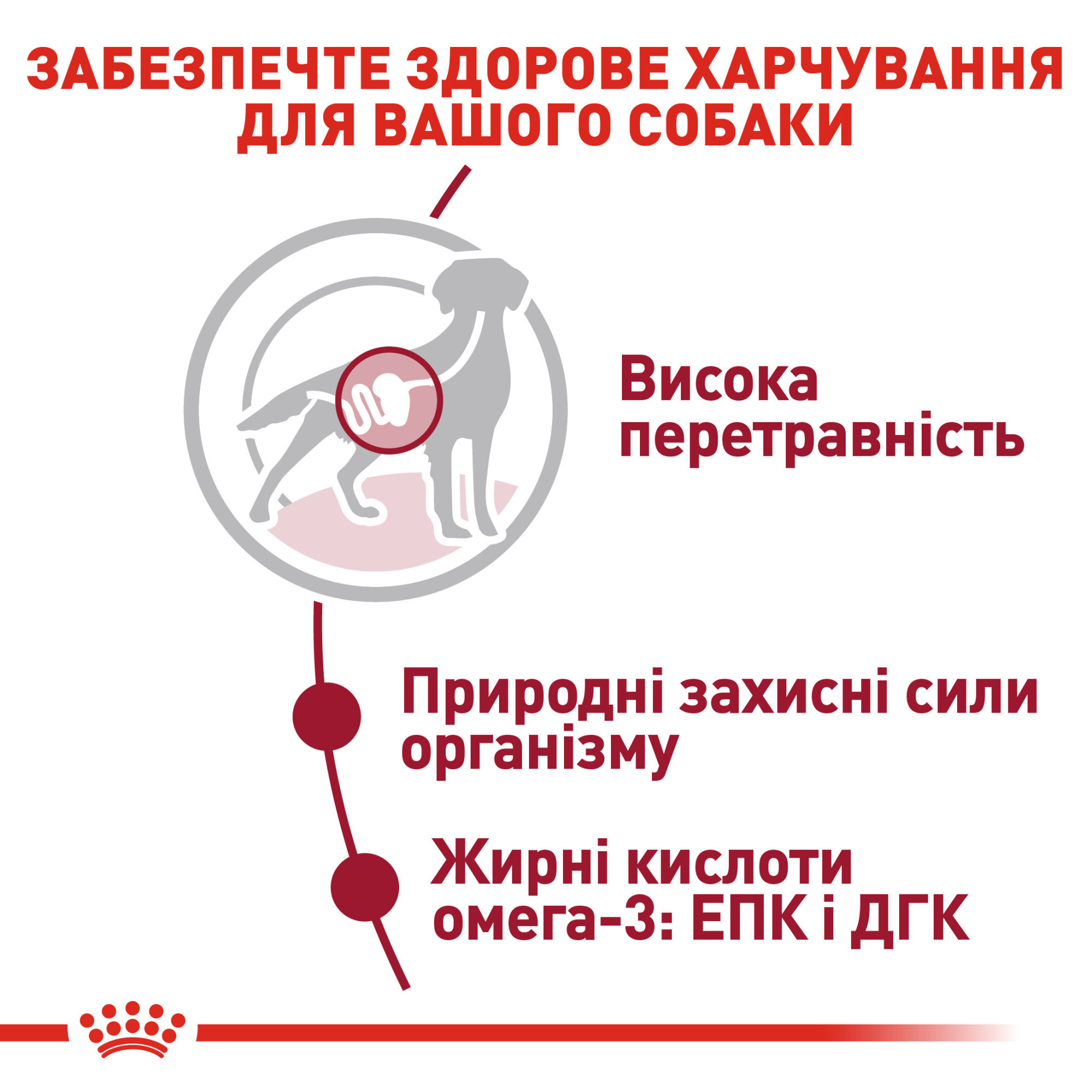 Royal Canin Medium Adult в соусе для собак