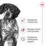 Royal Canin Medium Adult – сухий корм для дорослих собак середніх порід, 15 кг