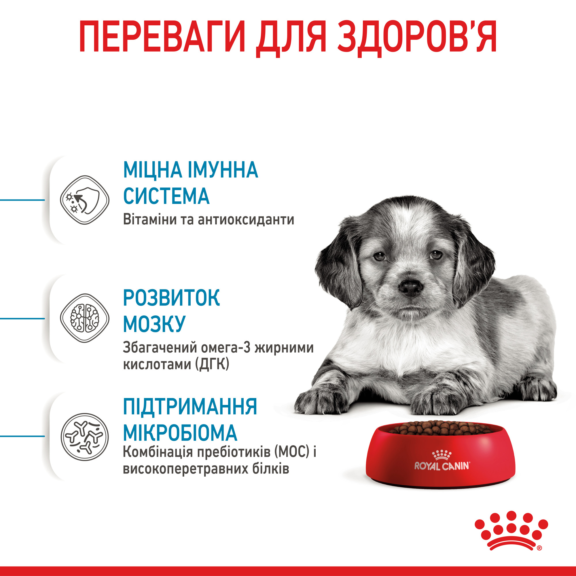 Royal Canin Medium Puppy – сухий корм для цуценят середніх порід, 15 кг