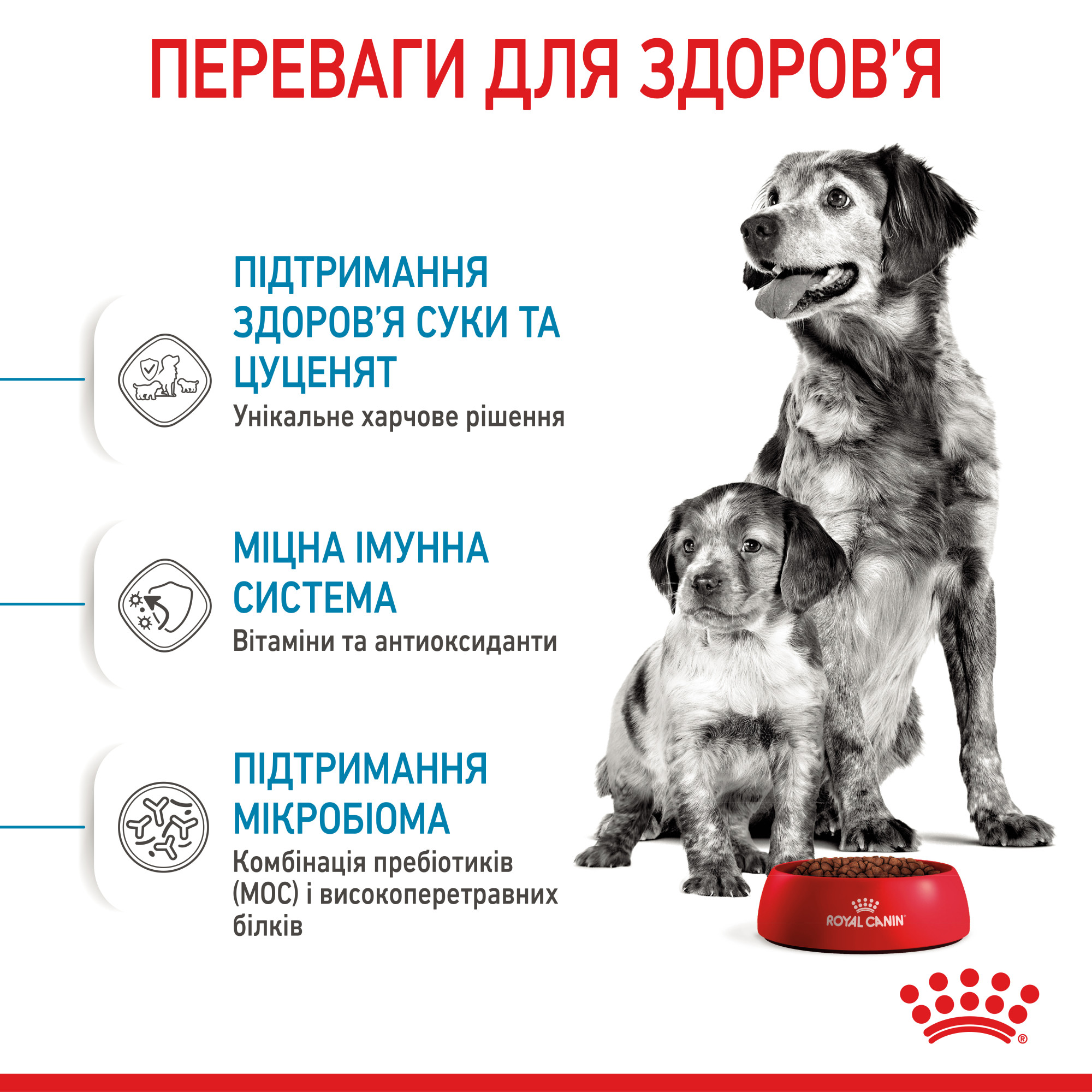 Royal Canin Medium Starter Mother & Babydog – сухой корм для беременных и кормящих собак средних пород и их щенков, 1 кг