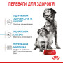 Royal Canin Medium Starter Mother & Babydog – сухой корм для беременных и кормящих собак средних пород и их щенков, 1 кг
