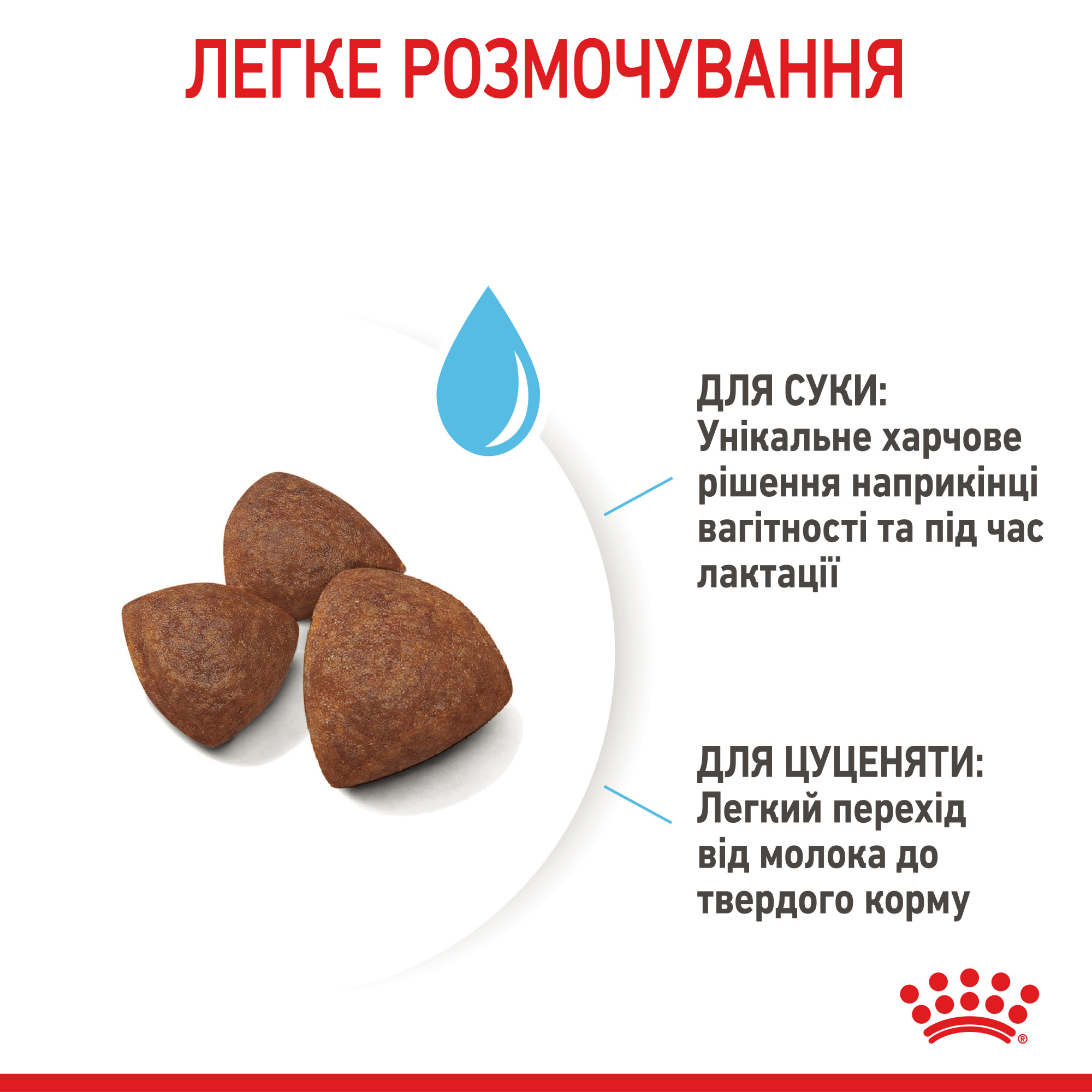 Royal Canin Medium Starter Mother & Babydog – сухой корм для беременных и кормящих собак средних пород и их щенков, 1 кг