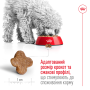 Royal Canin Mini Adult 8+ – сухой корм для взрослых собак малых пород в возрасте от 8 лет, 800 г