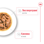 Royal Canin Mini Adult Gravy – влажный корм в соусе для взрослых собак мелких пород (от 10 месяцев до 8 лет, вес до 10 кг) 85 г