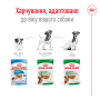 Royal Canin Mini Adult Gravy – влажный корм в соусе для взрослых собак мелких пород (от 10 месяцев до 8 лет, вес до 10 кг) 85 г