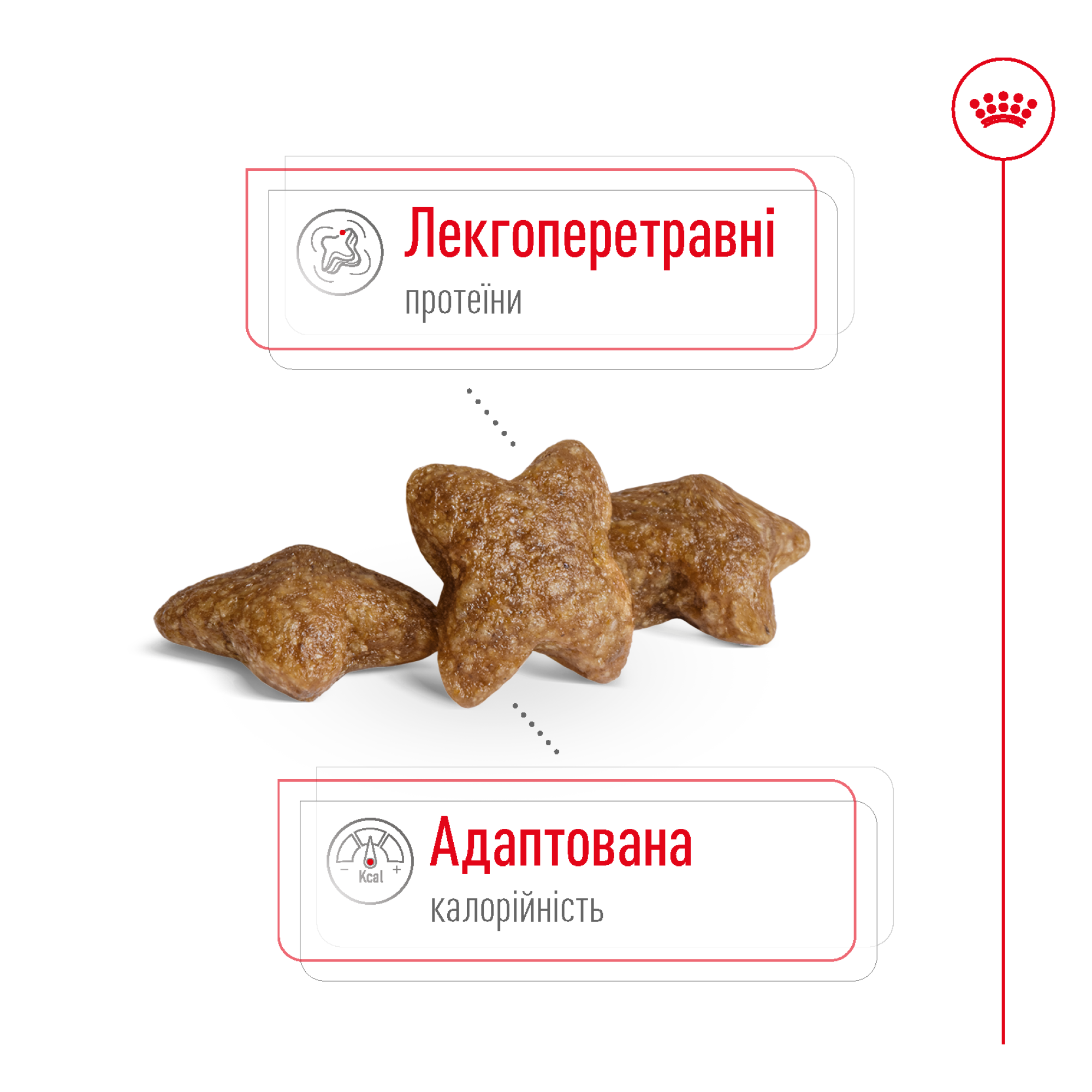 Royal Canin Mini Adult – сухий корм для дорослих собак малих порід, 4 кг