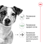 Royal Canin Mini Ageing 12+ – сухой корм для собак малых пород в возрасте от 12 лет, 800 г