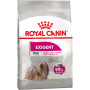 Royal Canin Mini Exigent – сухой корм для привередливых собак мелких пород, 3 кг