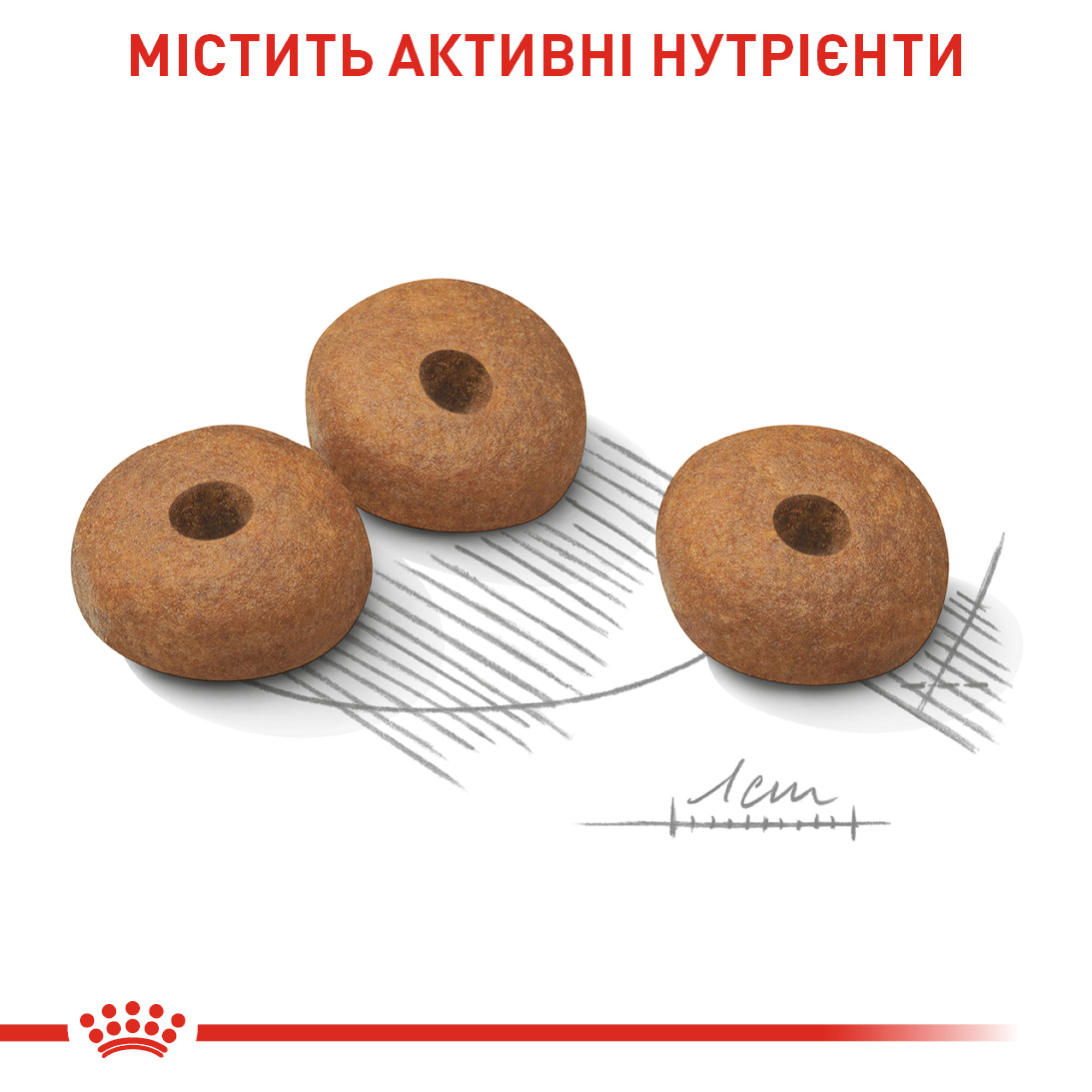 Royal Canin Mini Light Weight Care – сухой корм для собак мелких пород со склонностью к набору веса, 3 кг