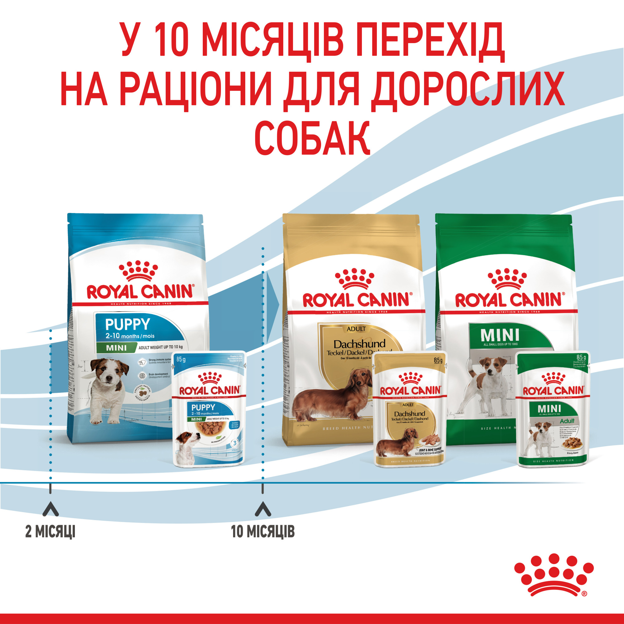 Royal Canin Mini Puppy Gravy – влажный корм в соусе для щенков мелких пород (вес взрослой собаки до 10 кг) 85 г