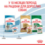 Royal Canin Mini Puppy Gravy – влажный корм в соусе для щенков мелких пород (вес взрослой собаки до 10 кг) 85 г
