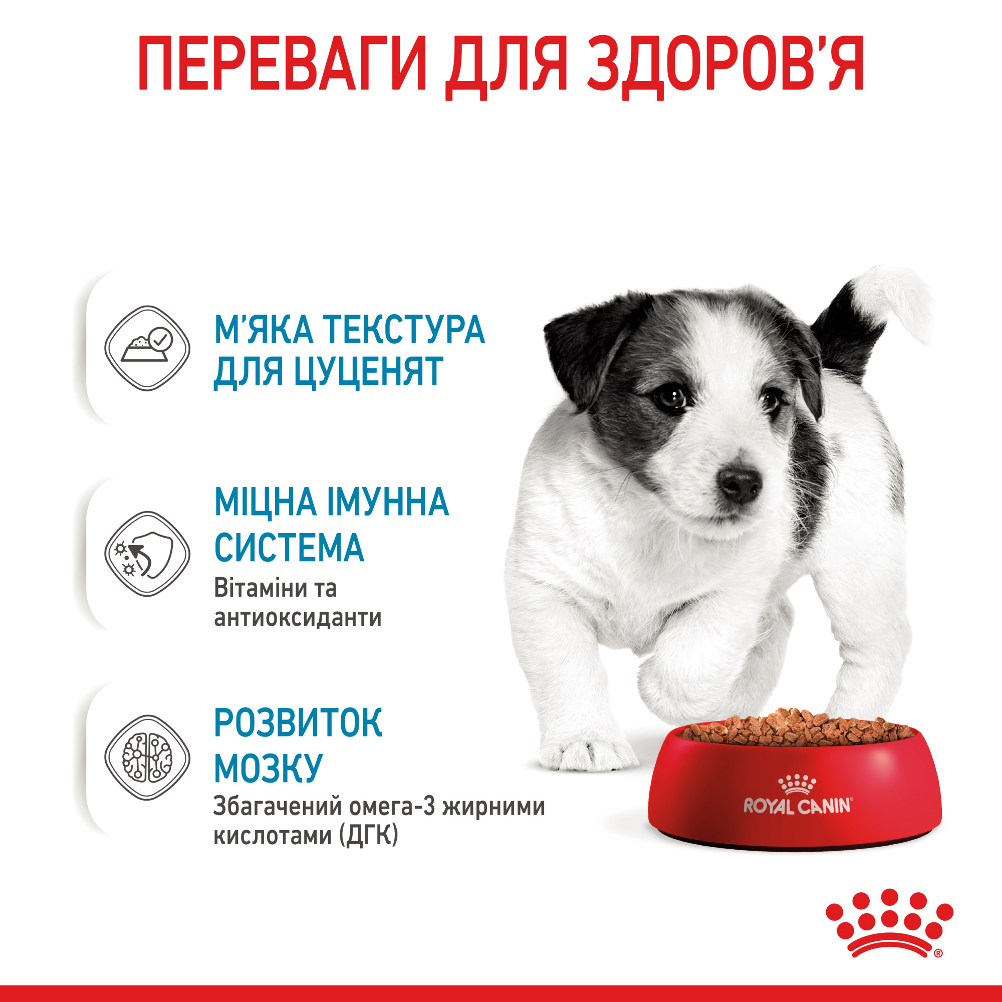 Royal Canin Mini Puppy Gravy – влажный корм в соусе для щенков мелких пород (вес взрослой собаки до 10 кг) 85 г