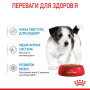 Royal Canin Mini Puppy Gravy – влажный корм в соусе для щенков мелких пород (вес взрослой собаки до 10 кг) 85 г