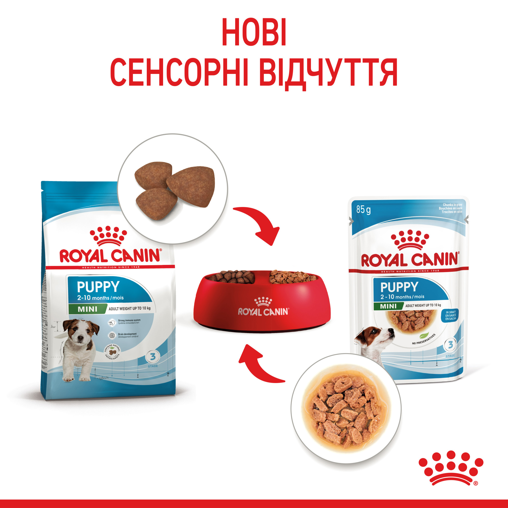 Royal Canin Mini Puppy Gravy – влажный корм в соусе для щенков мелких пород (вес взрослой собаки до 10 кг) 85 г