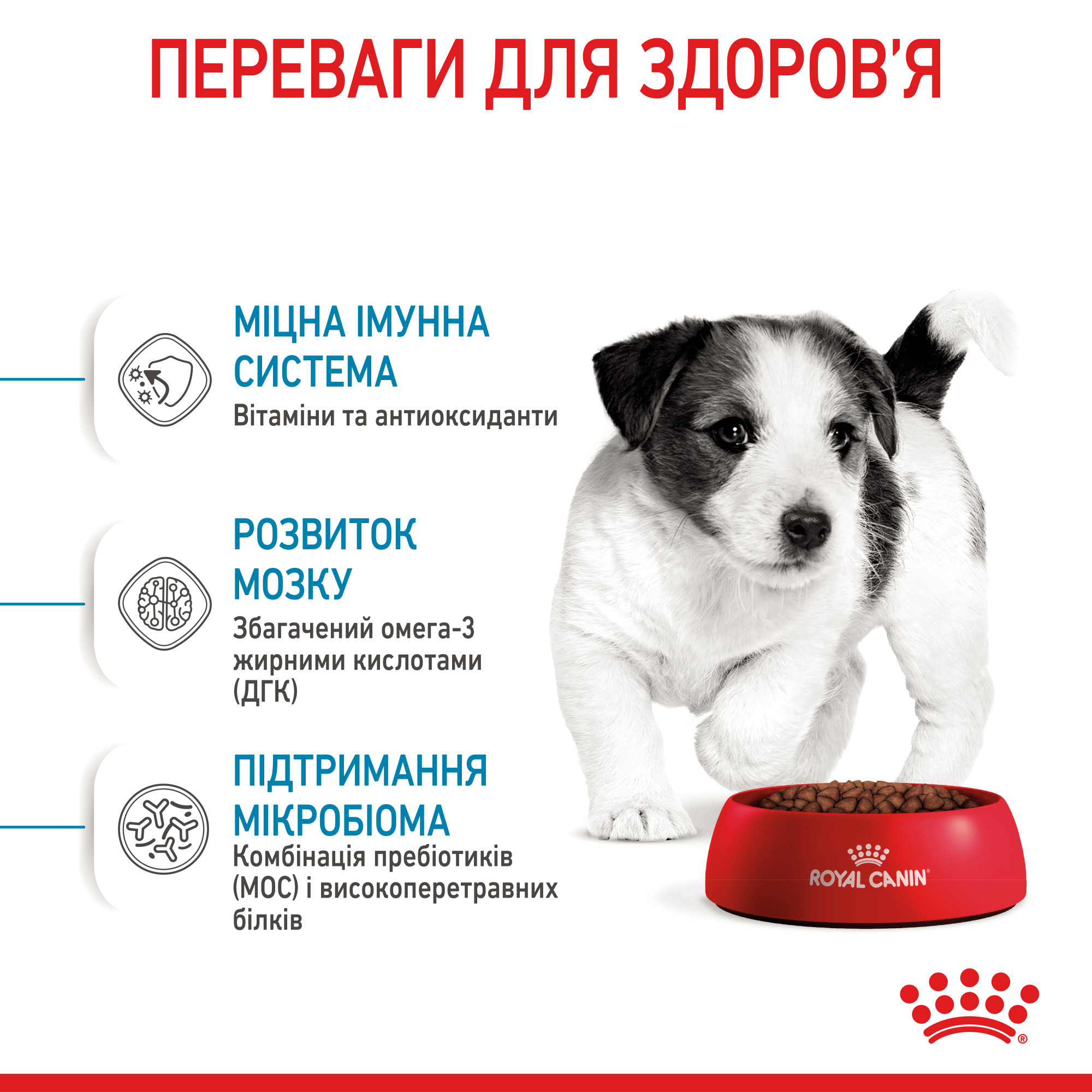 Royal Canin Mini Puppy – сухий корм для цуценят малих порід, 8 кг