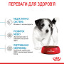Royal Canin Mini Puppy – сухий корм для цуценят малих порід, 8 кг