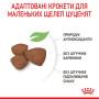 Royal Canin Mini Puppy – сухий корм для цуценят малих порід, 8 кг