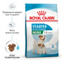 Royal Canin Mini Starter Mother & Babydog – сухий корм для вагітних, годуючих собак малих порід та їхніх цуценят, 8 кг