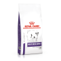 Royal Canin Neutered Adult Small Dog – сухой корм для стерилизованных/кастрированных собак мелких пород (до 10 кг) 800 г