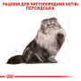Royal Canin Persian Adult – сухий корм для дорослих котів породи персидська, 4 кг
