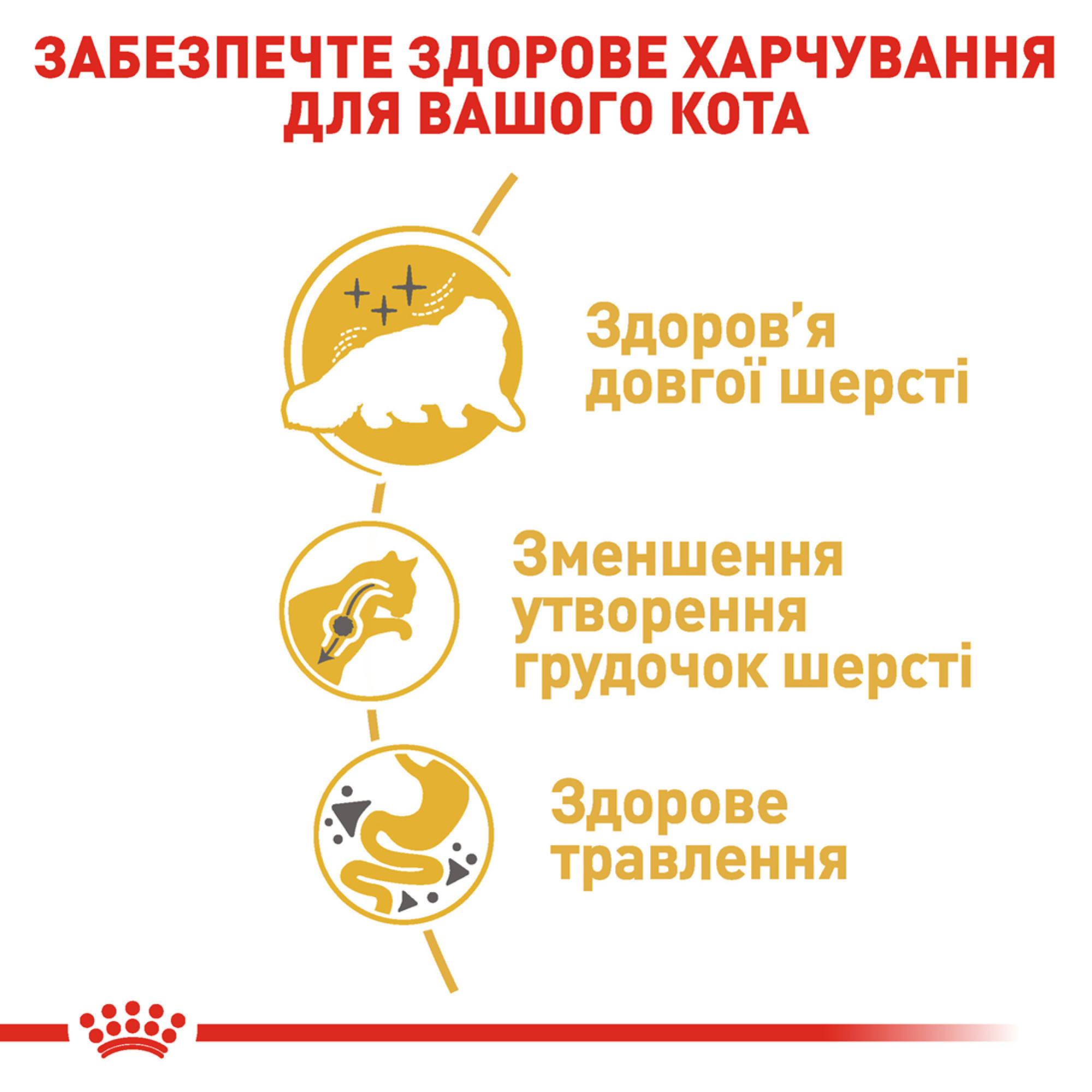 Royal Canin Persian Adult – сухий корм для дорослих котів породи персидська, 4 кг