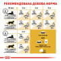 Royal Canin Persian Adult – сухий корм для дорослих котів породи персидська, 4 кг