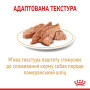 Royal Canin Pomeranian Adult Gravy – влажный корм в соусе для взрослых собак породы померанский шпиц (с 8 месяцев) 85 г