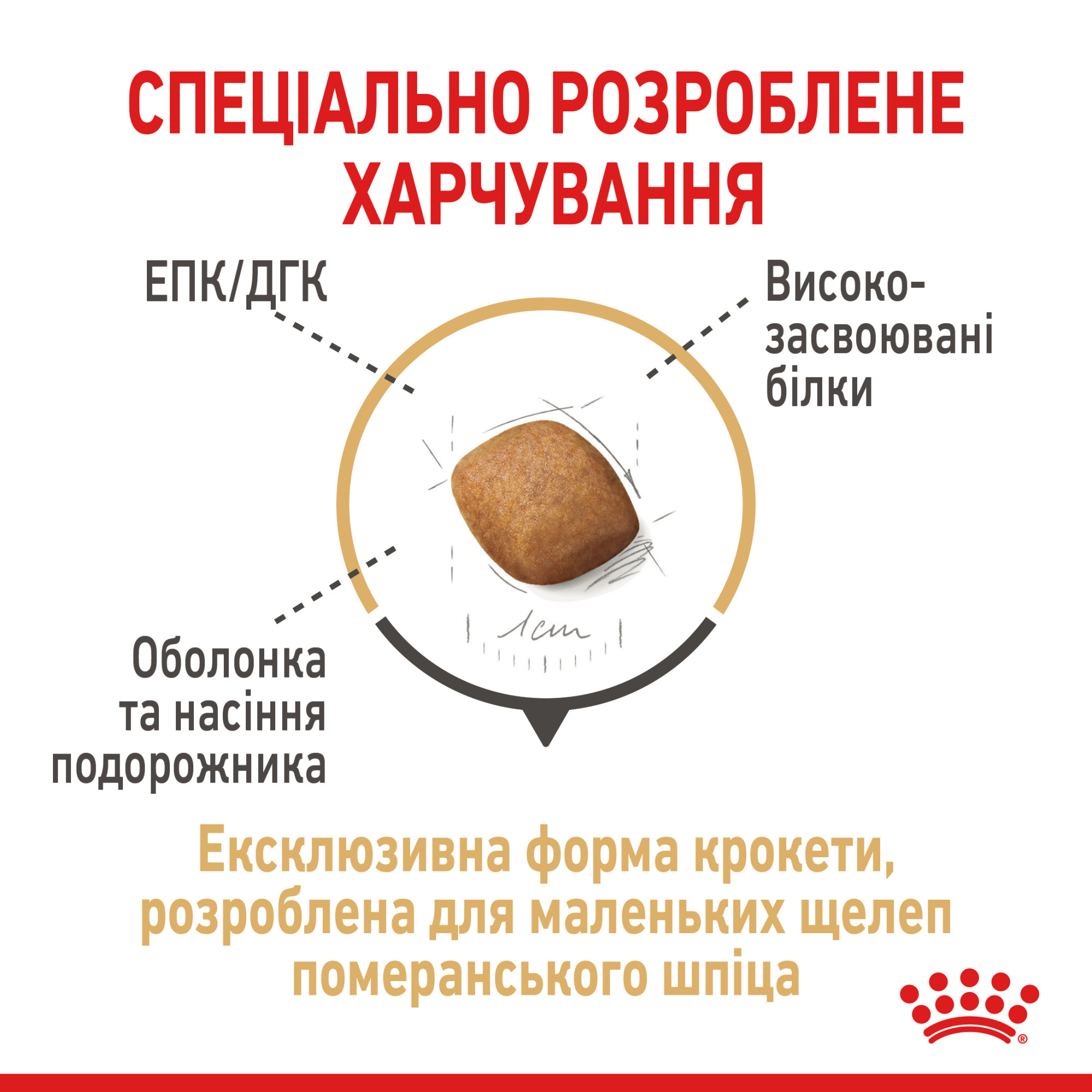 Royal Canin Pomeranian Adult – сухий корм для дорослих собак породи померанський шпіц, 1.5 кг