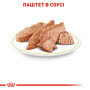 Royal Canin Poodle Adult: Вологий корм для дорослих пуделів (паштет), 85 г