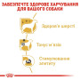 Royal Canin Poodle Adult: Вологий корм для дорослих пуделів (паштет), 85 г