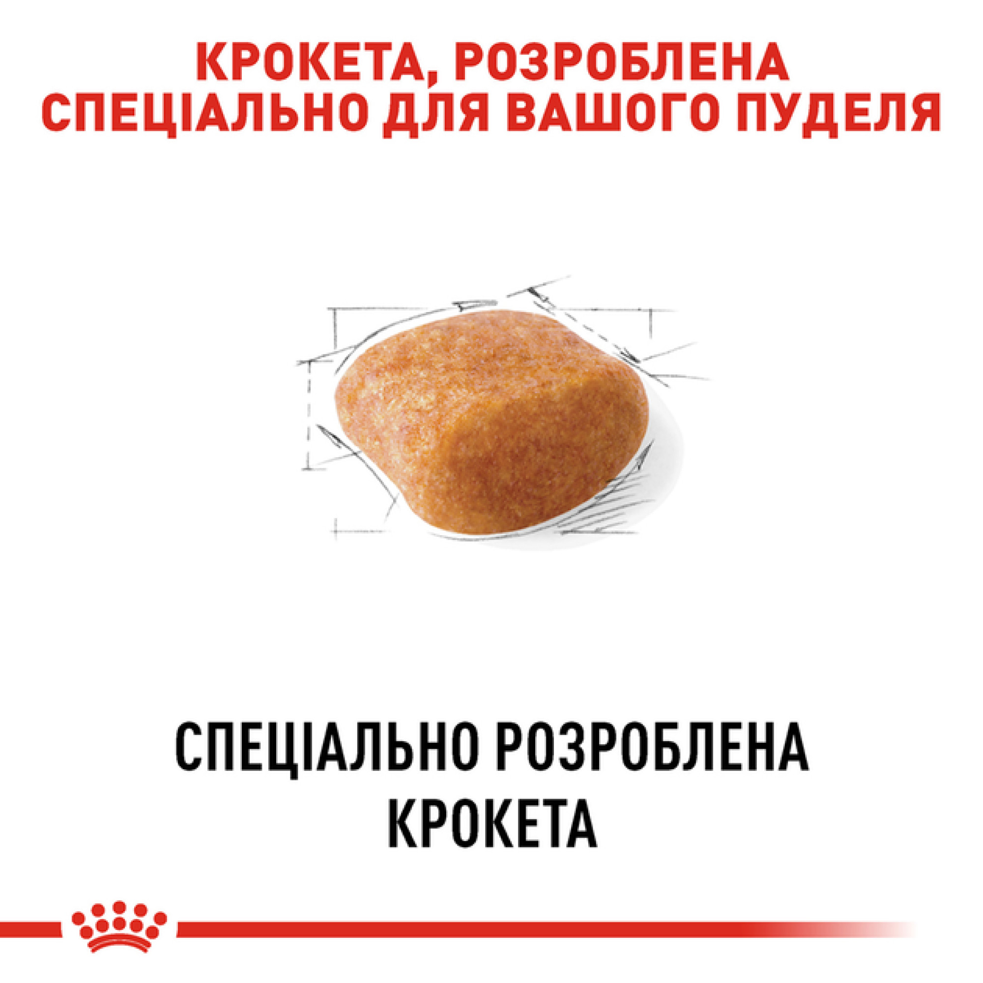 Royal Canin Poodle Adult: Сухий корм для дорослих пуделів, 500 г