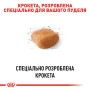 Royal Canin Poodle Adult: Сухий корм для дорослих пуделів, 500 г