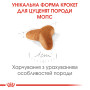 Royal Canin Pug Puppy – сухой корм для щенков породы мопс, 1.5 кг