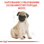 Royal Canin Pug Puppy – сухой корм для щенков породы мопс, 1.5 кг