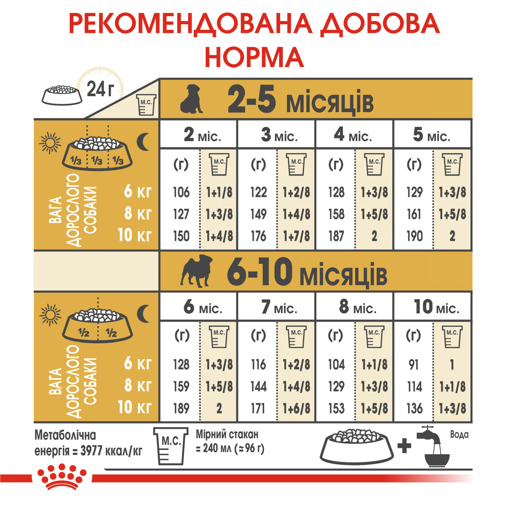 Royal Canin Pug Puppy – сухой корм для щенков породы мопс, 1.5 кг